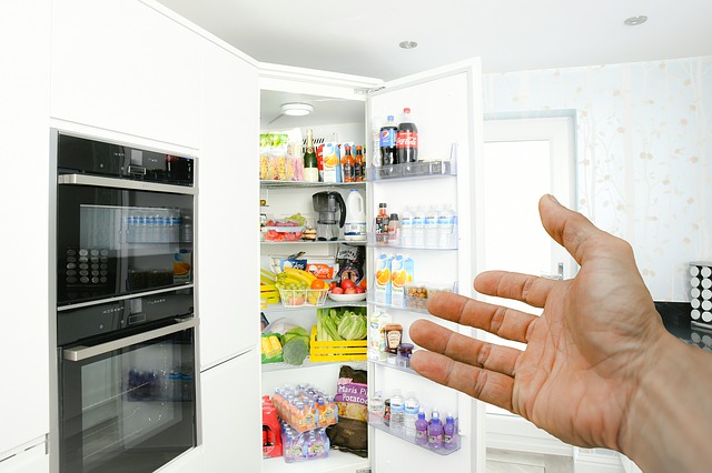 ruka u lednice